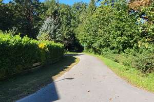 Gr. Plöner See *fußläufig * 980 m² Wfl. * Fachwerk-Anwesen * Sackgassenlage (!) * 5700 qm Grdstk. * – Die vollständige Adresse der Immobilie erhältst du vom Anbieter., 24326 Ascheberg (Holstein) – Vorschaubild 30