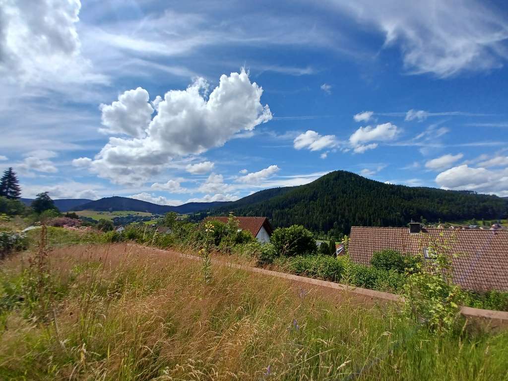 Immobilie in Baiersbronn - Wohnung mit TG Stellplatz in Baiersbronn - Bild 0