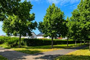 Energie-Juwel in Leipzig: Minimale Kosten für Ihren Verbrauch. Maximaler Komfort im EFH mit Garten. – 4329 Heiterblick, Leipzig – Vorschaubild 2