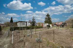 Einfamilienhaus im Bungalowstil auf großzügigem Grundstück in der Nähe vom Ruppiner See – Ostprignitz-Ruppin (Kreis) – Vorschaubild 17