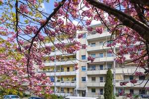 Sanierte 3 Raumwohnung mit Balkon! – Limbacher Weg 20, 1169 Gorbitz-Süd, Dresden – Vorschaubild 1