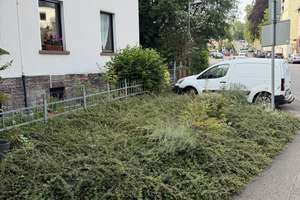 Repräsentatives Einfamilienhaus in TOP Lage am Triller – Spichererbergstraße 63, 66119 Alt-Saarbrücken, Saarbrücken – Vorschaubild 28