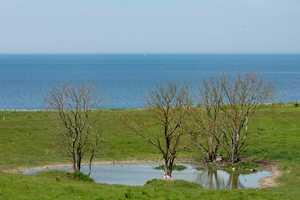 Herrenhaus und Gutsanlage an der Ostseeküste! – Johannistal 1010 1, 23758 Ostholstein (Kreis) – Vorschaubild 48
