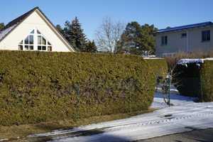 Familiengerechtes Haus mit einem sehr gepflegten Garten – Am Berge x, 15741 Dahme-Spreewald (Kreis) – Vorschaubild 78