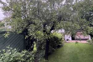 Von Privat: Exklusives Reihenhaus mit großem Garten in Waldtrudering – München – Vorschaubild 18
