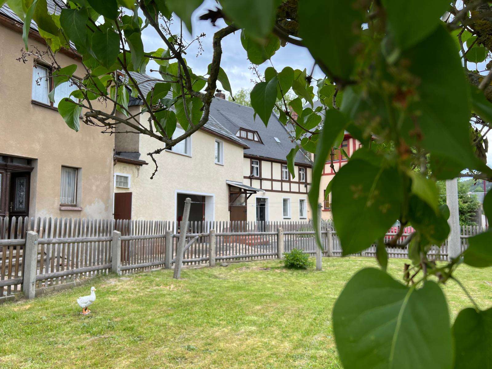 2 auf einen Streich! Sanierungspaket in Raschau-Markersbach!, Erzgebirgskreis – Bild 3