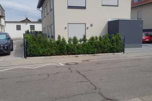 Neubau Doppelhaushälfte ,Erstbezug-Waldrandlage in Kandel – Elsässerstr. 31b, 76870 Kandel – Vorschaubild 1
