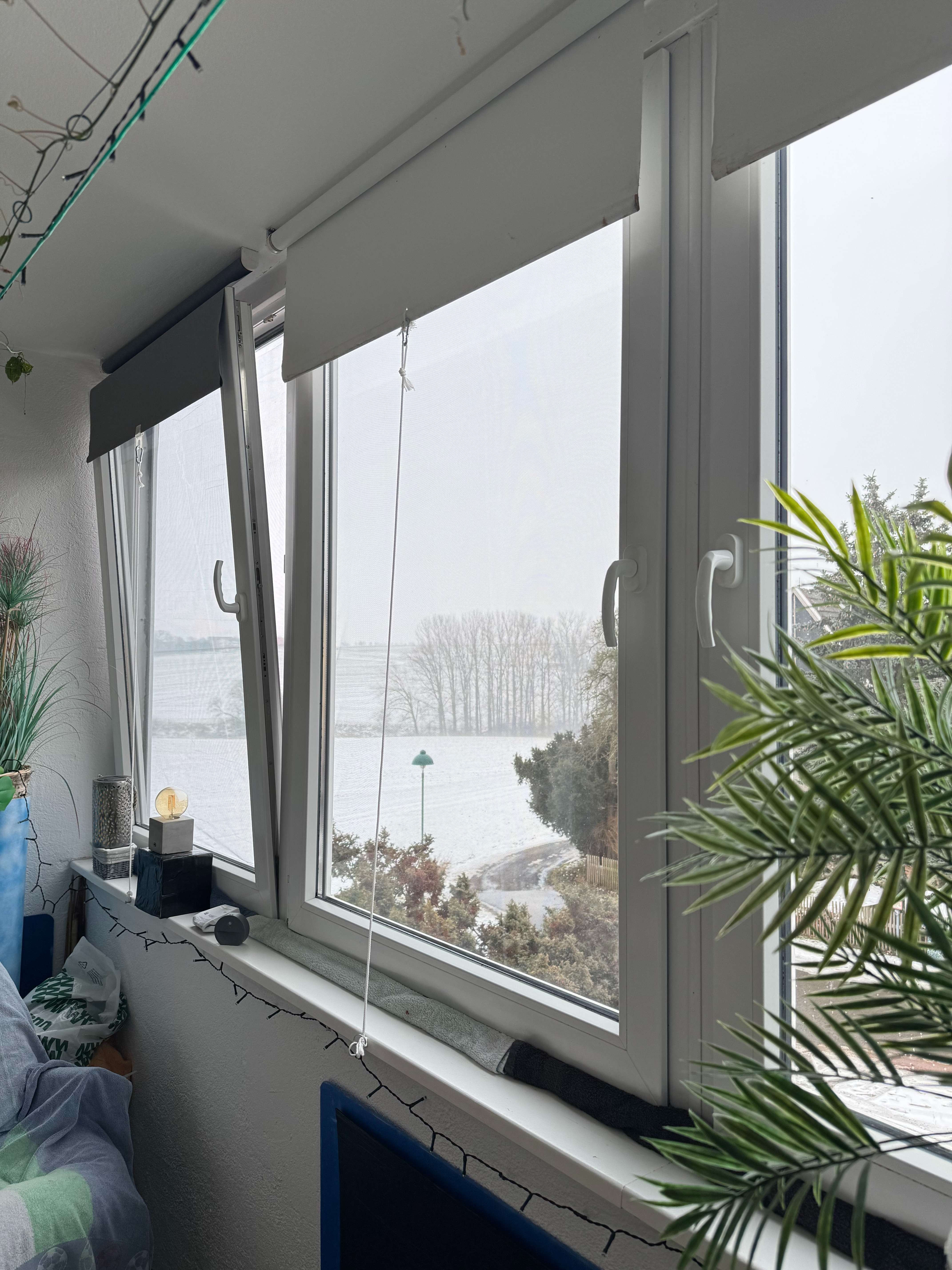 Ruhige helle 2,5-Raum-Wohnung im 1.OG vermietet zu verkaufen, Meißen Kreis – Bild 1