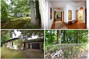 Naturnahes Wohnen, EFH, Bungalow + Garten + Waldgrundstück in Mölln Waldstadt - OTTO STÖBEN GmbH – Die vollständige Adresse der Immobilie erhältst du vom Anbieter., 23879 Mölln – Vorschaubild 1