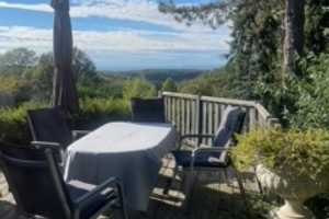Saniertes Traumhaus 2010/spektakulärer Ausblick/ Top Energiewert!
+exklusiv eingerichteter Wohnung! – Breisgau-Hochschwarzwald (Kreis) – Vorschaubild 13