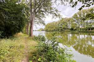 Naturidylle pur direkt am See - Einfamilienhaus im Rohbau mit weitläufigem Grundstück – Börde (Kreis) – Vorschaubild 4