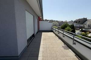 2 ZKB mit Balkon und Einbauküche | Seniorenwohnen („60+“) – Morellenweg 9-11, 56218 Mülheim-Kärlich – Vorschaubild 10