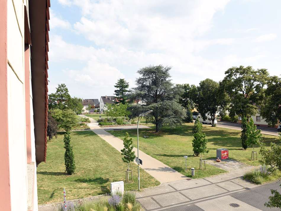 Hermann Meinzer Park gegenüber