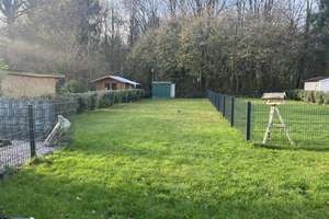 Property thumbnail 14