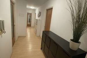 Wohnen im Grünen: Saniertes 3,5-Zimmer-Apartment in Freiburg-Landwasser – 79110 Landwasser, Freiburg im Breisgau – Vorschaubild 11