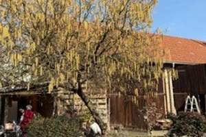 Property thumbnail 17