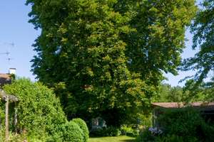 Landhaus in Seeshaupt / Eisenrain – Die vollständige Adresse der Immobilie erhältst du vom Anbieter., 82402 Seeshaupt – Vorschaubild 4
