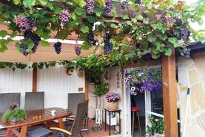 Top-Zustand, toller Garten, Sonne und Ruhe – Pinneberg (Kreis) – Vorschaubild 9