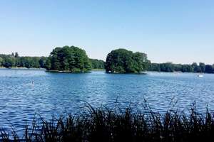 DEIN HAUS am SEE: Helle und begehrte Lage Groß Glienicke, Potsdam – Christophorusweg 12, 14476 Groß Glienicke, Potsdam – Vorschaubild 8