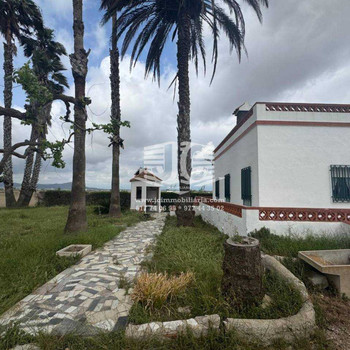Rustikales Chalet mit Reisfeldern in der Ribera de Amposta