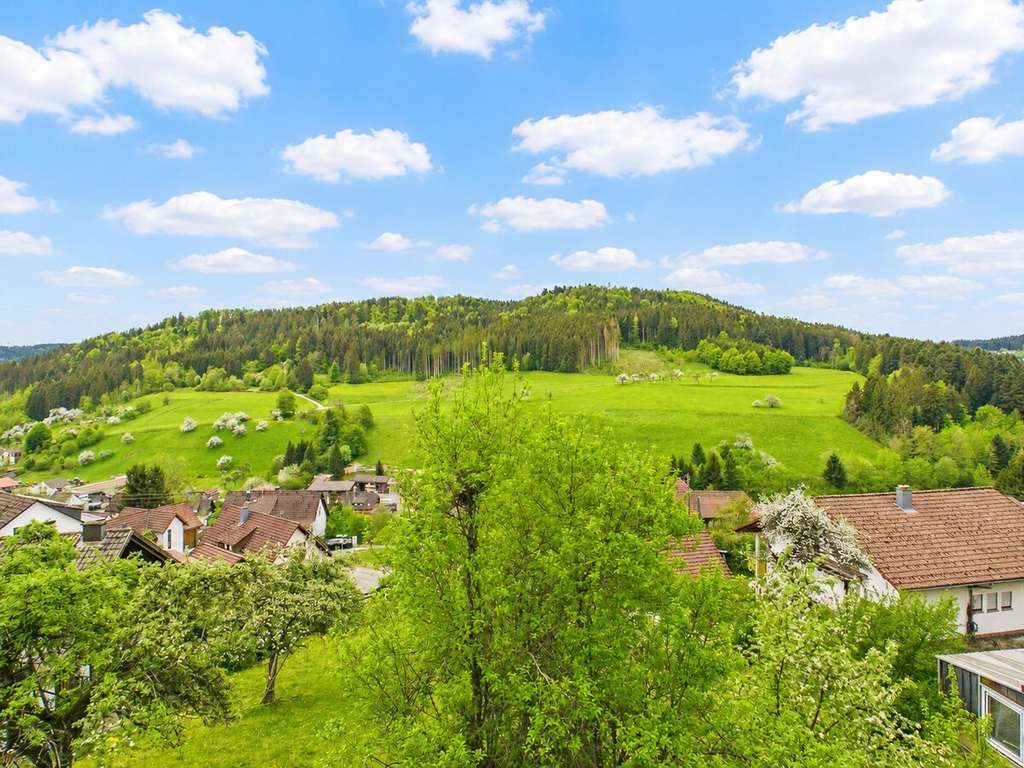Immobilie in Dornhan - Viel Raum für Ihre Wohnträume – großzügiges Einfamilienhaus mit Weitblick, Gartenidylle und Potenzia - Bild 2