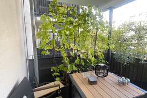 Helle 3-Zimmer-Wohnung mit Balkon in Köln-Rodenkirchen