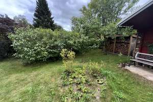 Ferienbungalow im Wald auf Pachtland – Klein Sterblitz 0, 19309 Lenzen (Elbe) – Vorschaubild 18