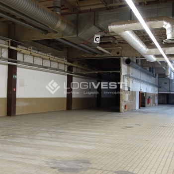 Kaltlagerhalle im Gewerbegebiet in Riesa