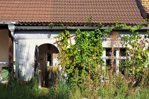 Grundsolides Reiheneigenheim mit Hof, Anbau und Garten – Querstraße 9, 6862 Roßlau, Dessau-Roßlau – Vorschaubild 24