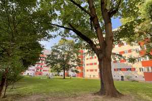 Heinz-Bartsch-Straße 15, 10407 Berlin – Heinz-Bartsch-Straße 15, 10407 Berlin – Vorschaubild 12