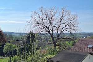 EFH in zentraler Lage von Grünberg – Die vollständige Adresse der Immobilie erhältst du vom Anbieter., 35305 Grünberg – Vorschaubild 8