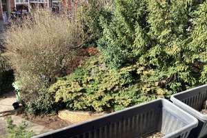Attraktive 3 Zimmer Wohnung in Hannover-Südstadt – Schlägerstr. 7, 30171 Südstadt, Hannover – Vorschaubild 11