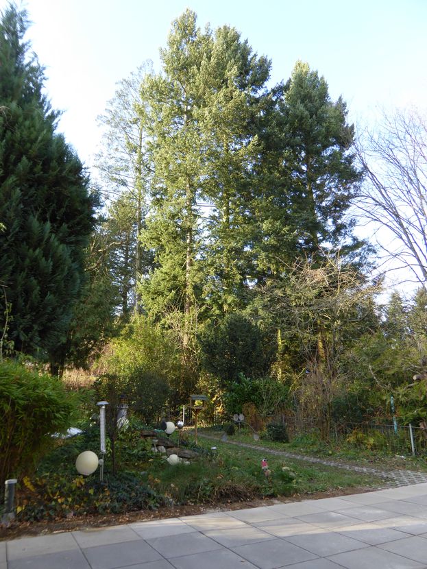 Reihenhaus in Top-Zustand.. V-E-R-K-A-U-F-T image