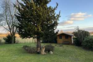 In bester Lage - Einfamilienhaus mit schönem Grundstück und Wintergarten in Bremen-Borgfeld – Bremen – Vorschaubild 8
