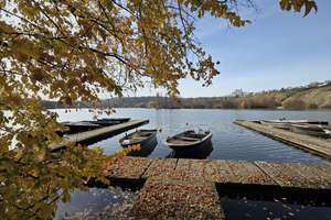 Property thumbnail 22