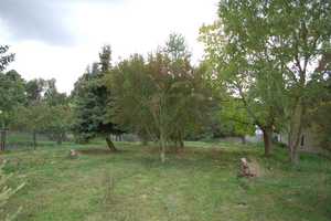 Stadthaus mit Nebengelass und romantischem Garten in Schildau – Schildau, Nordsachsen (Kreis), 4889 Nordsachsen (Kreis) – Vorschaubild 5