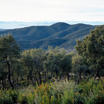 Rustikales Anwesen im Baix Empordà zum Renovieren. Viele Möglichkeiten