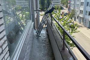 3 Zimmern, beste Lage in Düsseldorf-Pempelfort – Die vollständige Adresse der Immobilie erhältst du vom Anbieter., 40477 Pempelfort, Düsseldorf – Vorschaubild 15
