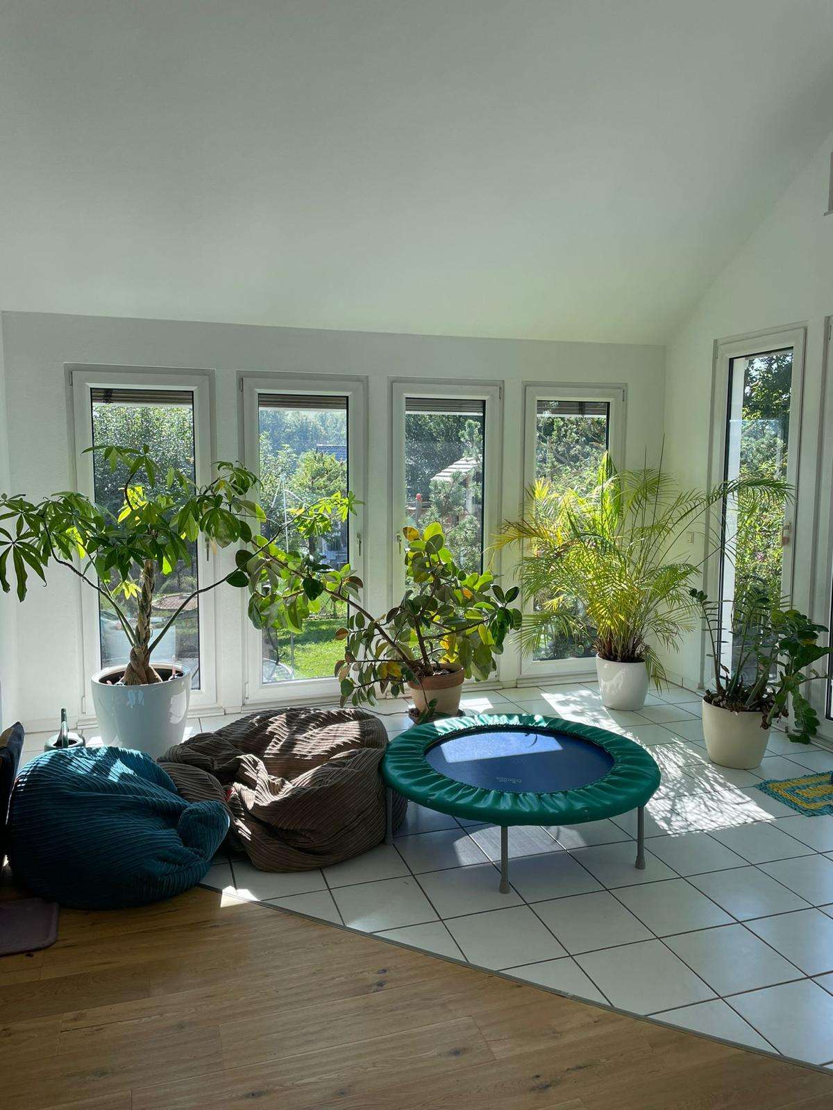 Immobilie in Flacht - Willkommen im Sonnenglanz! Lichtdurchflutetes Zuhause mit großzügigem Gartenparadies - Bild 3