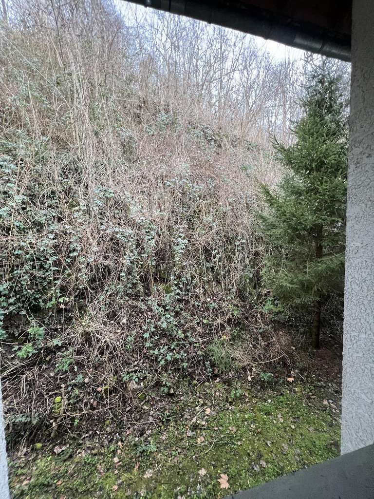 Immobilie in Bensheim - Ein interessantes Investment - Bild 3