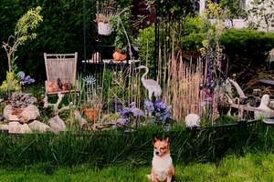 Property thumbnail 31