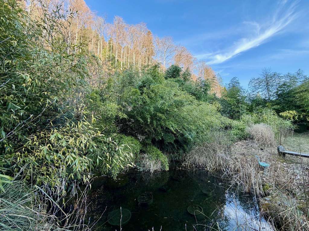 Immobilie in Oberried - Tradition trifft Nachhaltigkeit – Großzügiges Schwarzwaldhaus mit Einliegerwohnung und Wintergarten - Bild 0