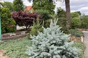 Viel Platz für Ihre Wohnträume – Flexibles Einfamilienhaus mit großem Garten – Berlin – Vorschaubild 13