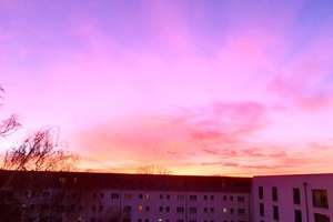 Property thumbnail 26