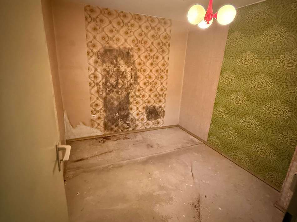 77facee9-4839-4399-a37f-e00efe