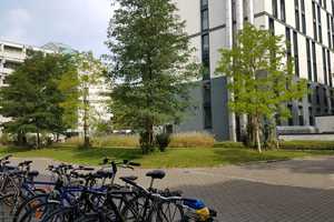 Möblierte 1-Zimmer-Wohnung mit Balkon und EBK in München Haidhausen – Hochstraße 21, 81669 München – Vorschaubild 2