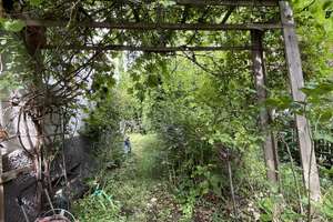 RESERVIERT -Charmantes Eck - Haus mit pittoreskem Naturgarten !Wir heißen SIE ❤️-lich Willkommen – Die vollständige Adresse der Immobilie erhältst du vom Anbieter., 69121 Handschuhsheim, Heidelberg – Vorschaubild 10