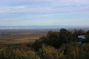 " ... vom Feinsten ... " – Steinbrunner Weg 18, 67271 Battenberg (Pfalz) – Vorschaubild 6