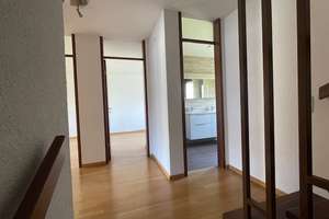 Attraktives und großzügiges Reihenmittelhaus mit 2 Gärten in Stuttgart-Neugereut, BEZUGSBEREIT – Pelikanstr. 30c, 70378 Neugereut, Stuttgart – Vorschaubild 19