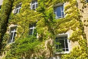 HOMESK - Bezugsfreie 2-Zimmer-Altbauwohnung im Rollbergkiez – Kopfstraße 61, 12053 Neukölln (Ortsteil), Berlin – Vorschaubild 32